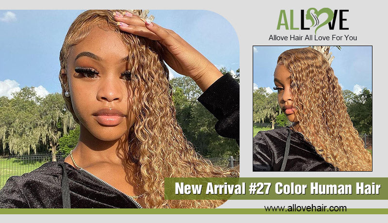 New Arrival #27 Color Human Hair