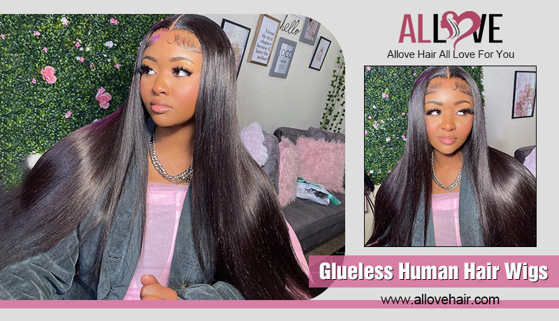 Glueless Human Hair Wigs