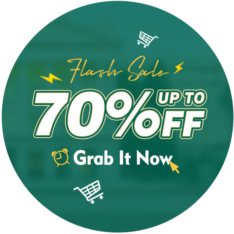 Christmas Flash Deal