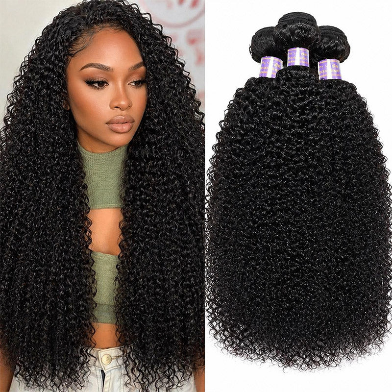 Afro Kinky Curly Virgin Brazilian Human Hair Extensions 100% Virgin Human Hair Bundles - AlloveHair