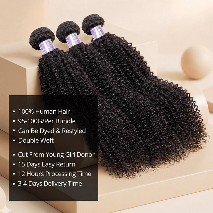 Afro Kinky Curly Virgin Brazilian Human Hair Extensions 100% Virgin Human Hair Bundles - AlloveHair
