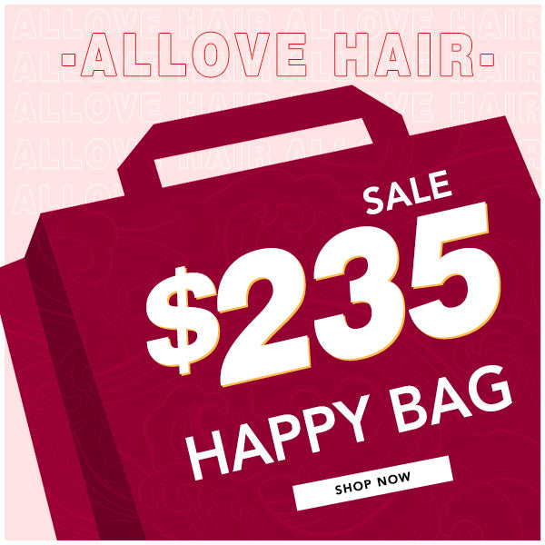 ALLOVE $235 Happy Bag- 2PCS 13*4 Wig 22''