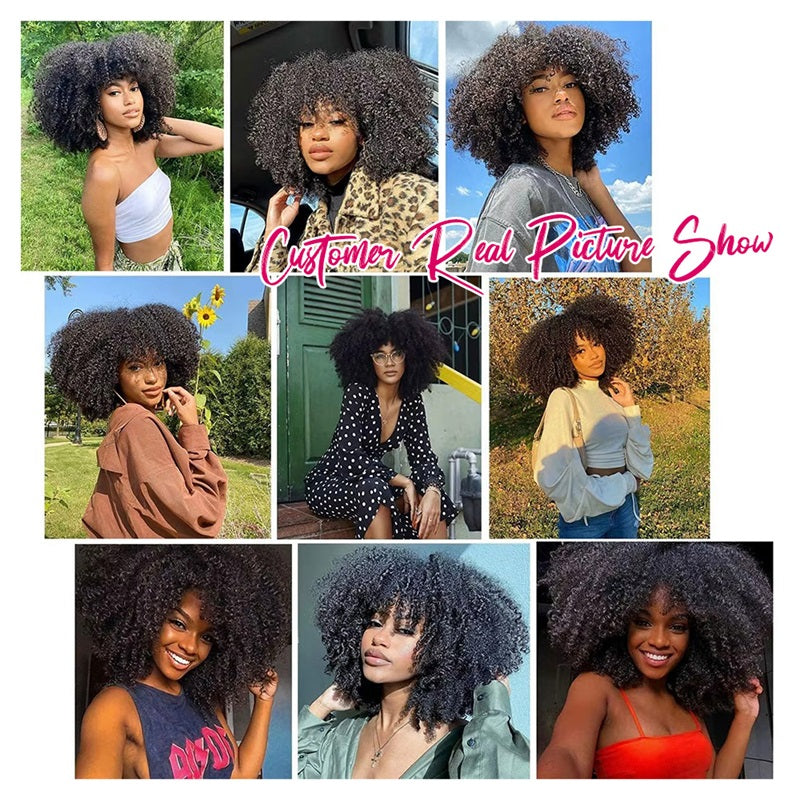 Afro Kinky Curly Virgin Brazilian Human Hair Extensions 100% Virgin Human Hair Bundles - AlloveHair
