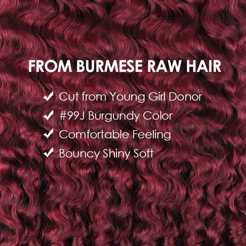 [Ship in 12Hours] Allove 99J Burgundy Color Burmese Curly Hair Bundles 12A Raw Virgin Human Hair Weave - AlloveHair