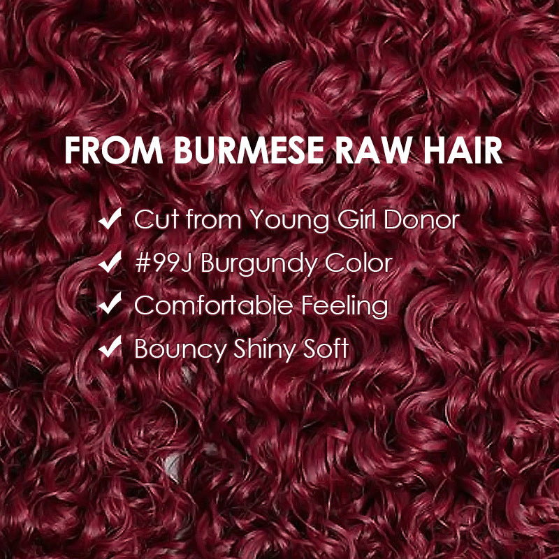 Allove Hair 99J Burgundy Color Burmese Curly Hair Bundles 12A Raw Virgin Human Hair Weave