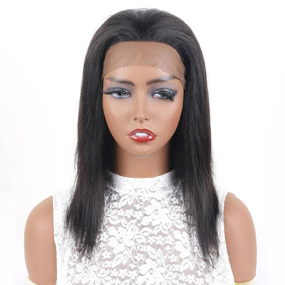 Affordable 13x2 Lace Front Brazilian Straight Human Hair Wig Can Be Dyed Human Hair Wig For Black Women