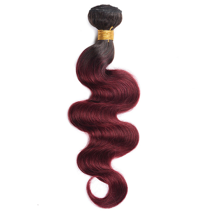 Allove Hair Ombre T1B 99J Body Wave Human Hair Bundles With Lace Closure : ALLOVEHAIR