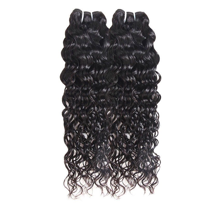 Allove Hair Malaysian Water Wave 4 Bundles Human Hair Weaves : ALLOVEHAIR