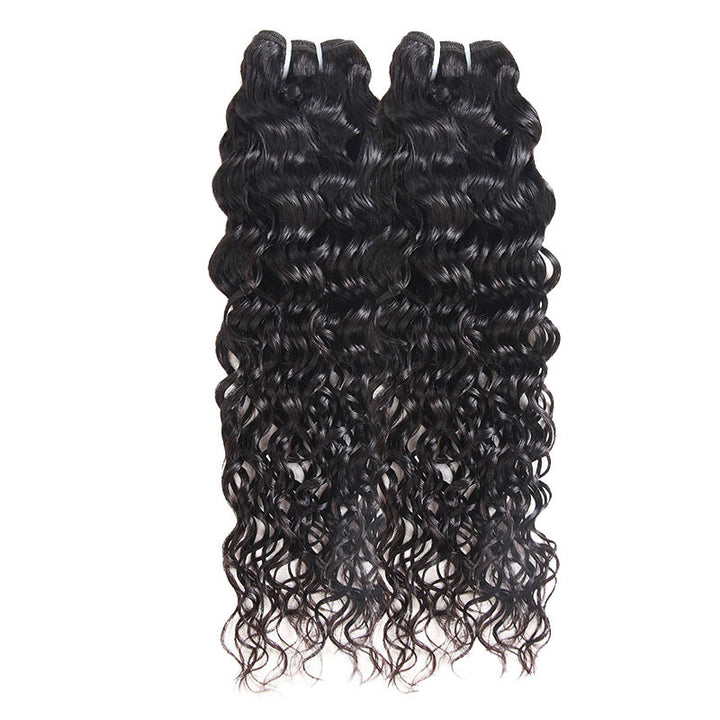 Allove Hair Malaysian Water Wave 4 Bundles Human Hair Weaves : ALLOVEHAIR