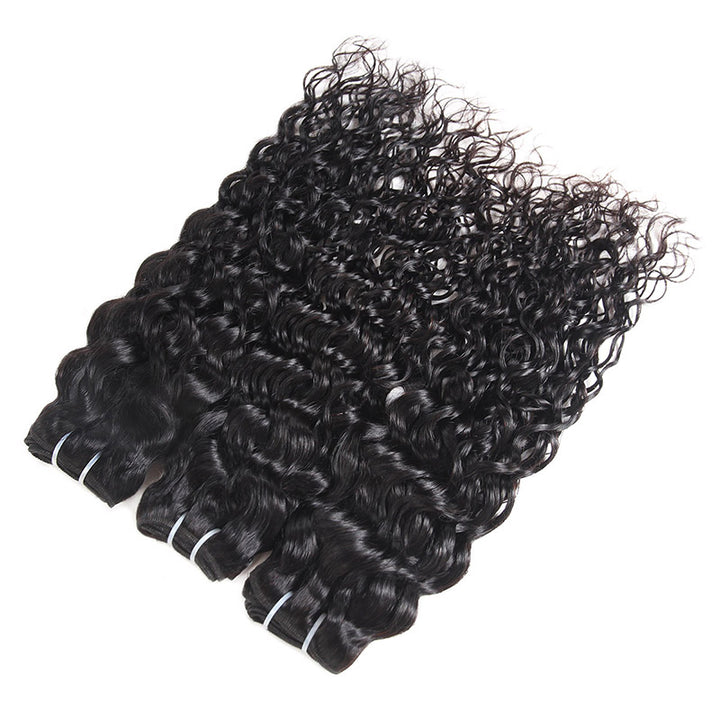 Allove Hair Malaysian Water Wave 4 Bundles Human Hair Weaves : ALLOVEHAIR